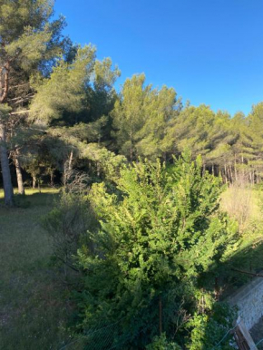 La cigales, Martigues